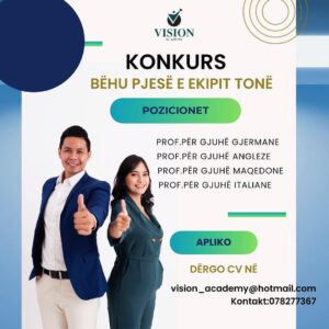 Konkurs per punesim ne Vision Academy