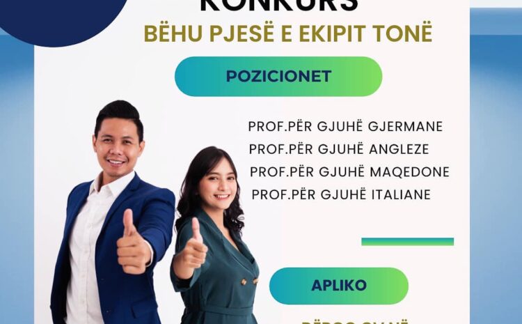  Konkurs per punesim ne Vision Academy